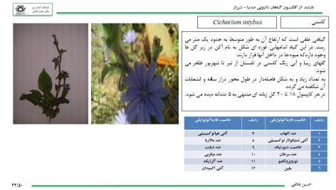 دانلود پاورپوینت چهل و شش گیاه دارویی استان فارس