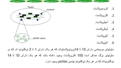 دانلود پاورپوینت مهندسی ژنتیک کلروپلاست